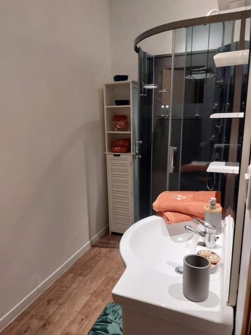 Appartement Proche Des Parcs Vichy Ngoại thất bức ảnh